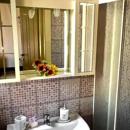 Bed & Breakfast Sharkhouses